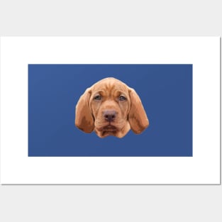 Hungarian Vizsla Cute Puppy Dog Posters and Art